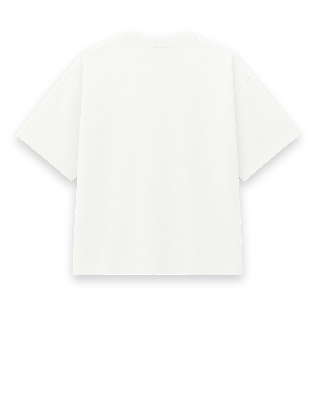 Boxy Trắng mặt sau